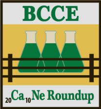 BCCE 2010 Logo